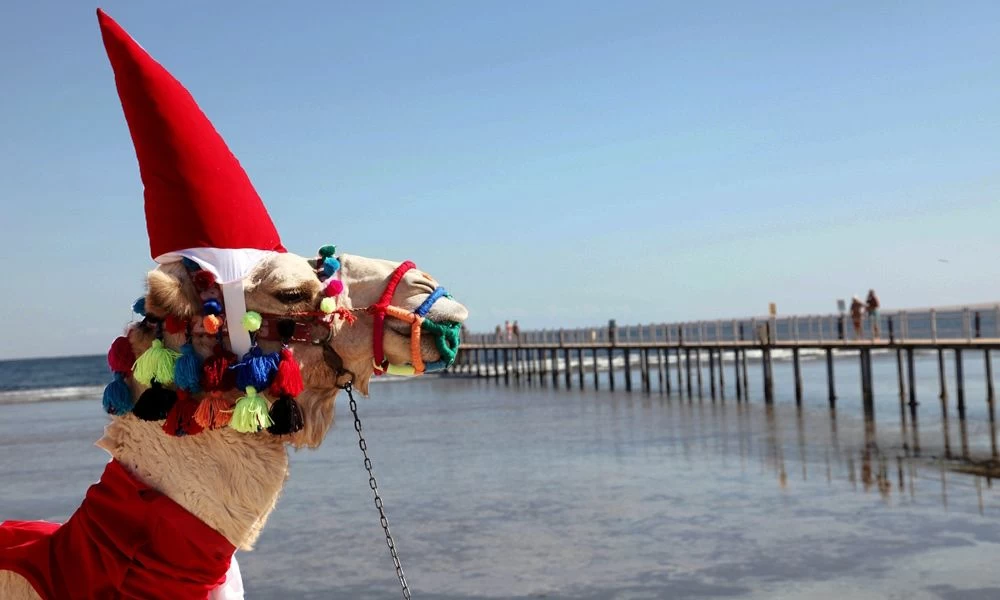 Egypt Christmas Tours