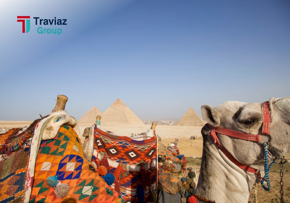 3 Day Cairo Family Holiday with Egyptologist Guide }}