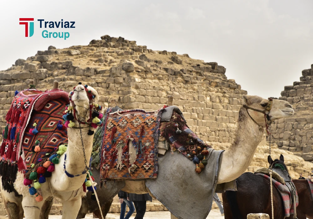 5 day egypt tour: Cairo, Luxor & Hurghada Red Sea