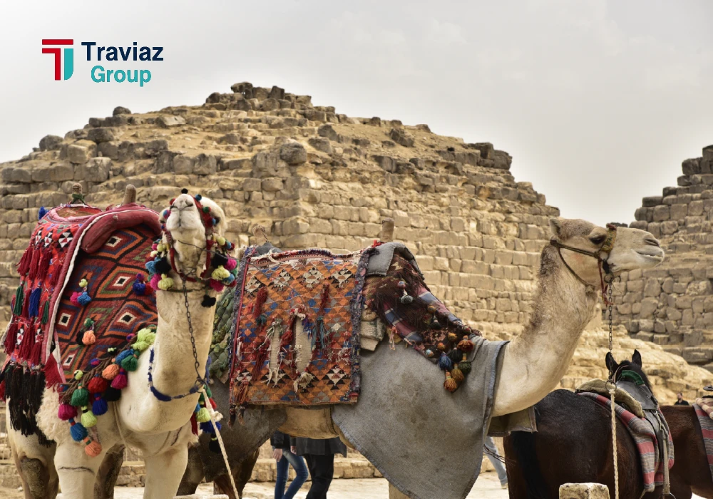 6 Day Cairo, Alexandria, Luxor & Abu Simbel Package