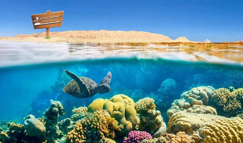Hurghada Day Tours