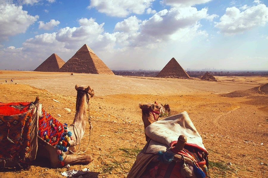 A rough guide to Cairo and the Pyramids }}