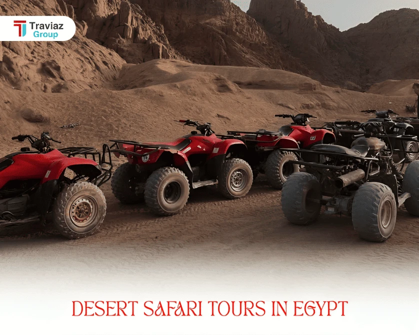 Desert Safari Tours in Egypt