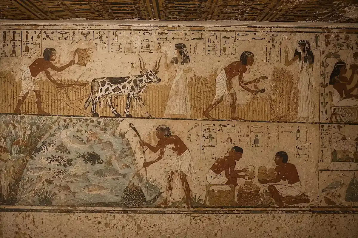 Ancient Egyptian Daily Life