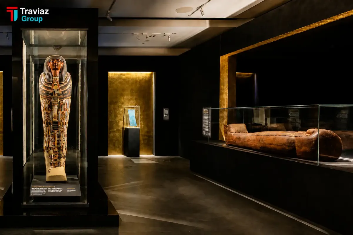 Ancient Egyptian Mummy Exhibition