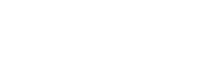 Traviaz Group