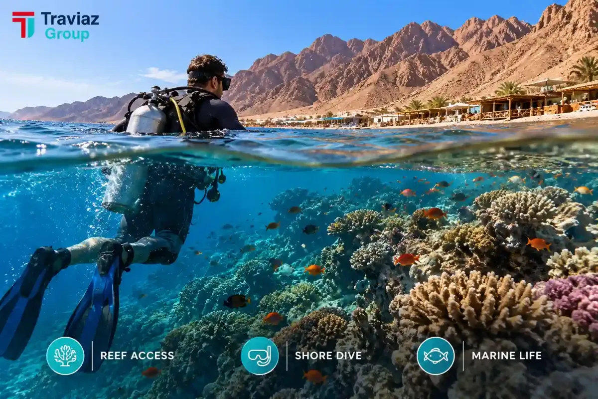 Red Sea Adventure & Reefs